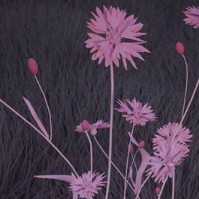 hg8868体育皇冠地址